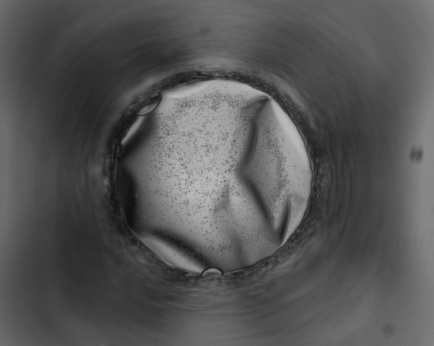 X0000102871016200809021442