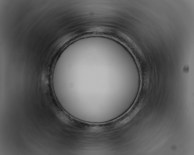 X0000102871017200809021442