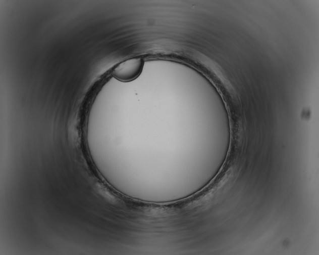 X0000102871018200809021442