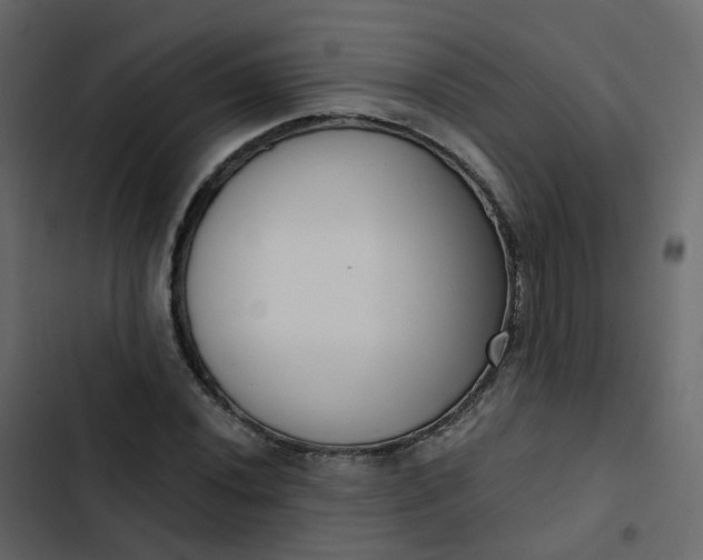 X0000102871020200809021442