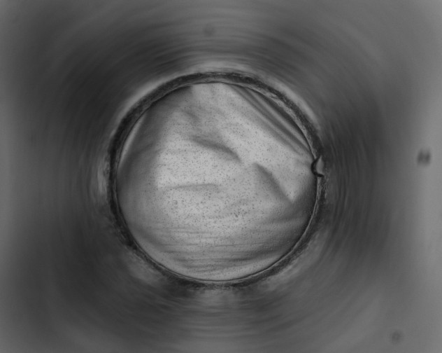 X0000102871021200809021442