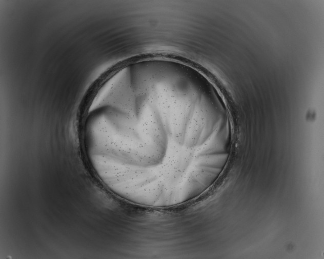 X0000102871022200809021442