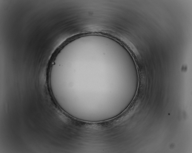 X0000102871023200809021442