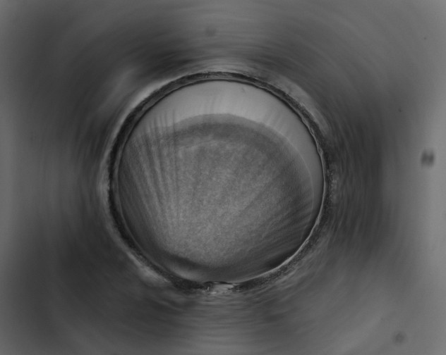 X0000102871024200809021442