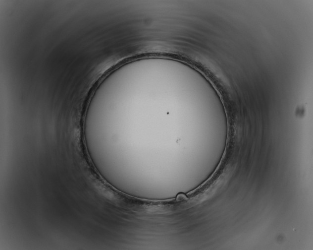 X0000102871025200809021442