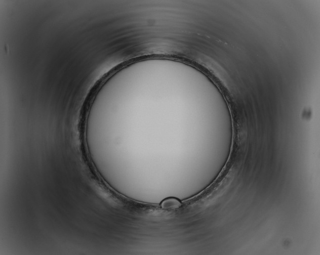 X0000102871026200809021442