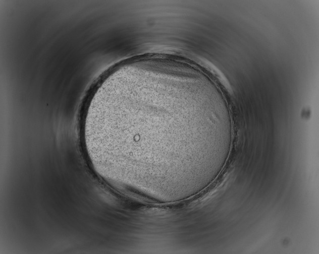 X0000102871027200809021442