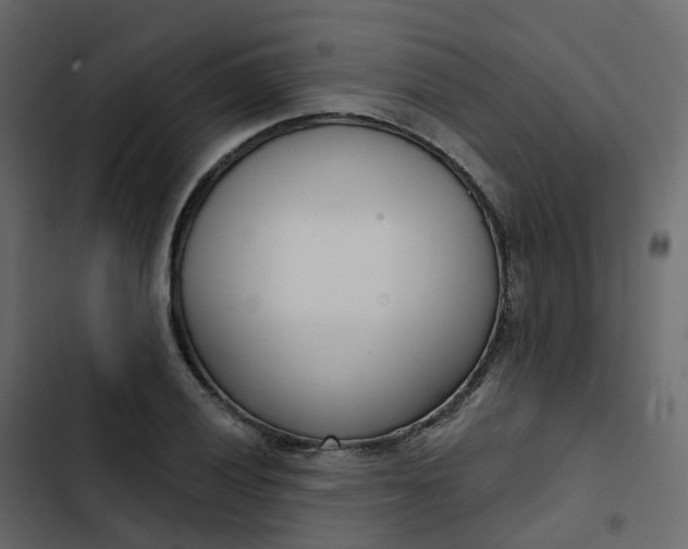 X0000102871028200809021442