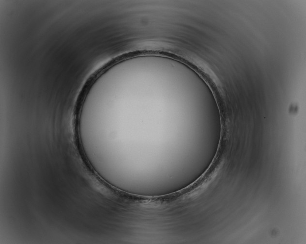 X0000102871029200809021442