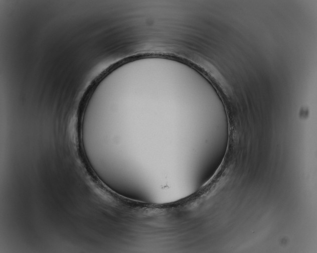 X0000102871030200809021442