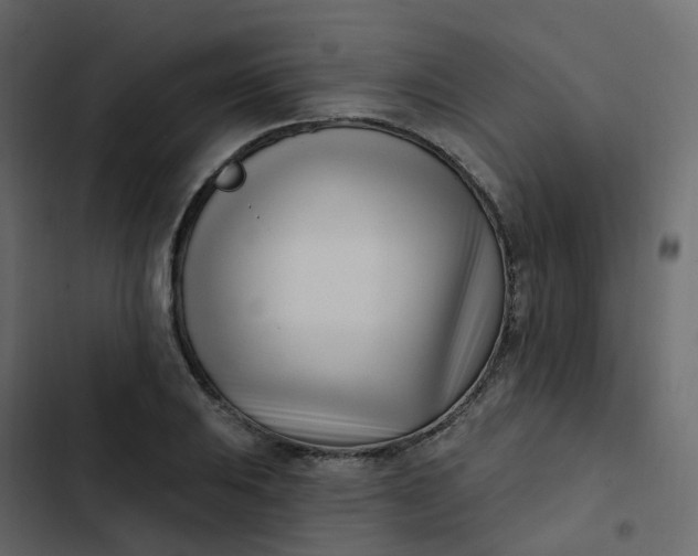 X0000102871031200809021442