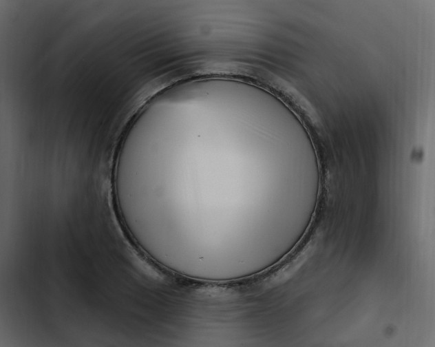 X0000102871033200809021442