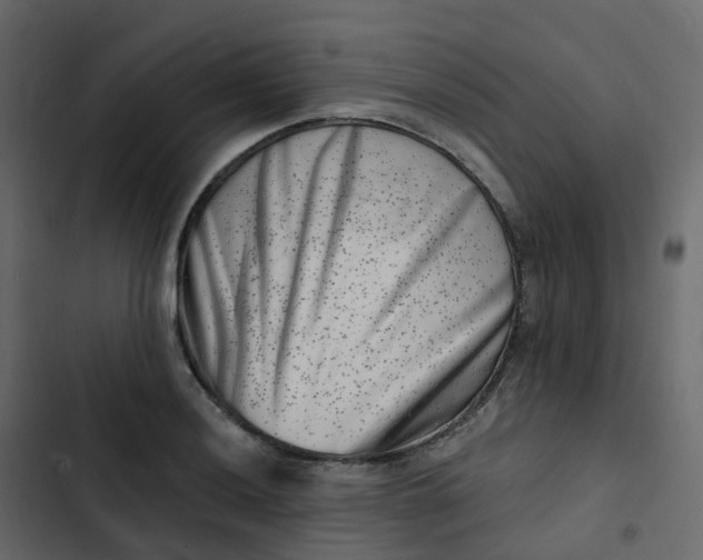 X0000102871036200809021442