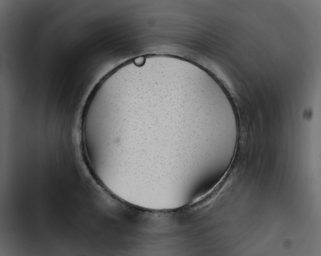 X0000102871040200809021443