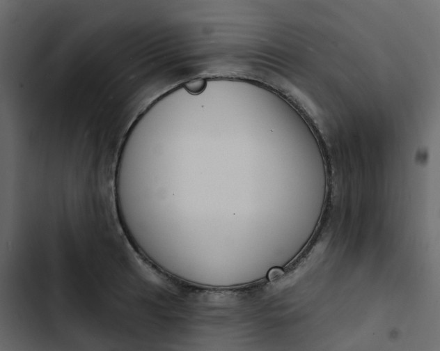 X0000102871041200809021443