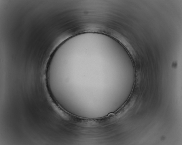 X0000102871042200809021443