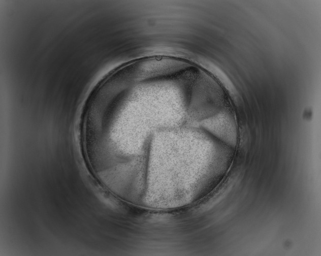 X0000102871043200809021443