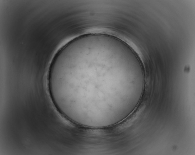 X0000102871045200809021443