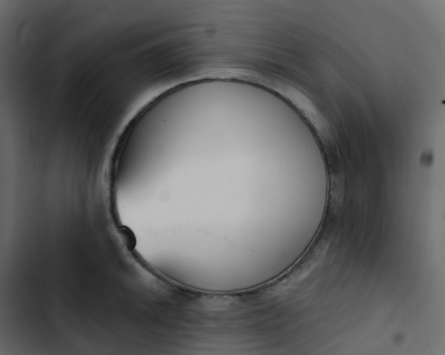 X0000102871046200809021443