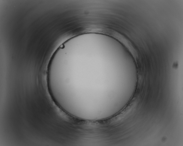 X0000102871050200809021443