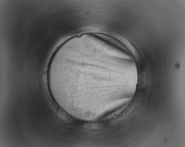 X0000102871051200809021443