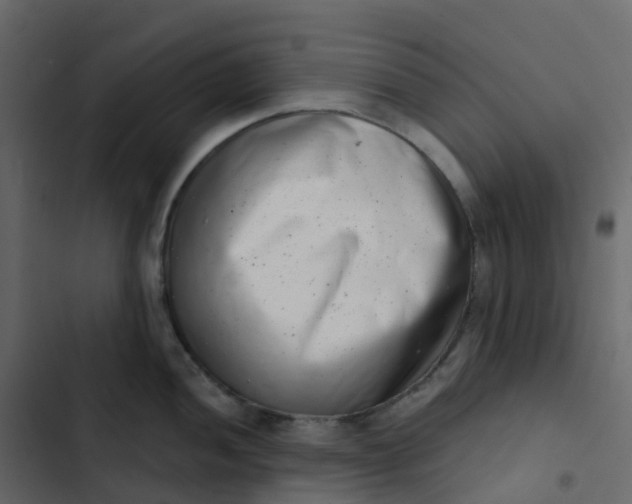 X0000102871052200809021443