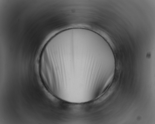 X0000102871054200809021443