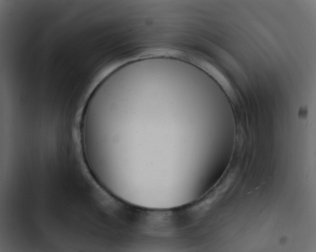 X0000102871055200809021443