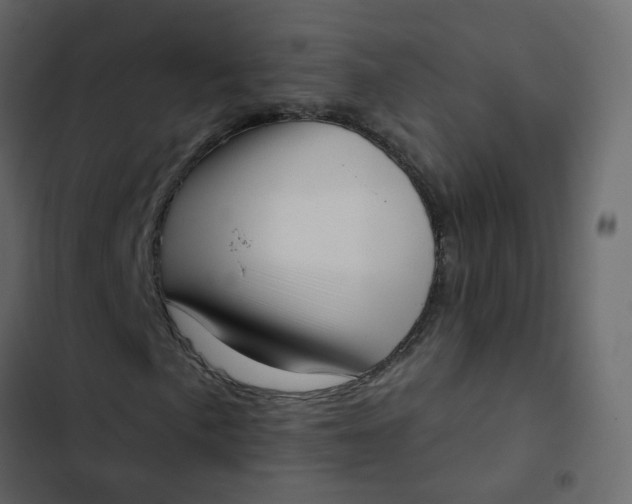 X0000102871057200809021442