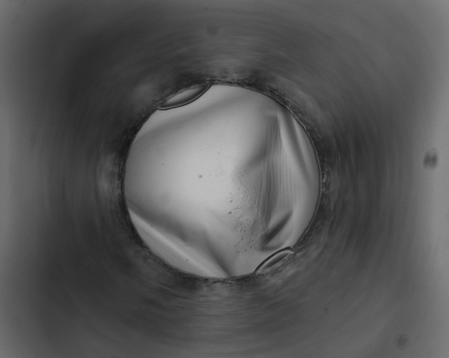 X0000102871058200809021442