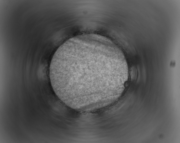 X0000102871059200809021442