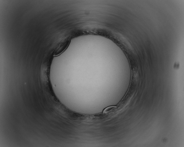 X0000102871060200809021442