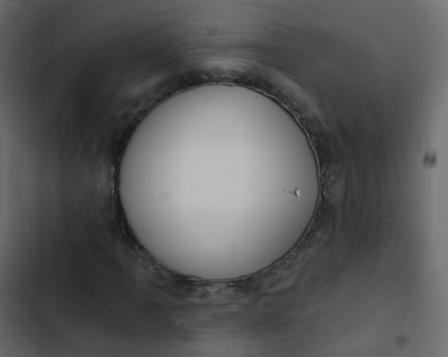 X0000102871061200809021442