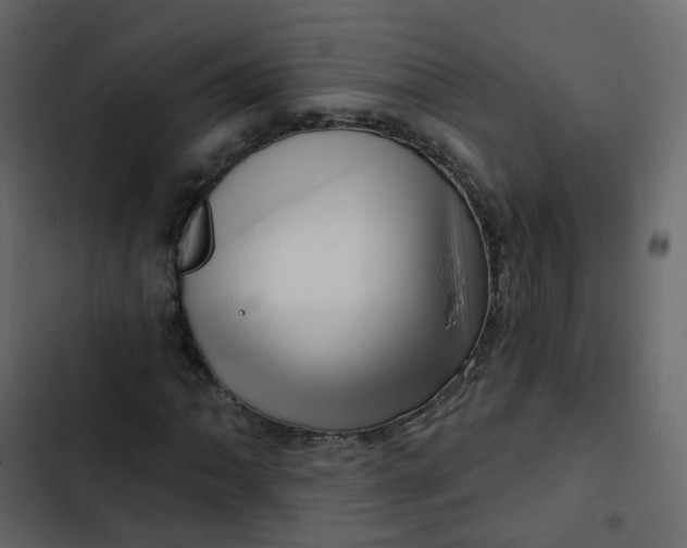 X0000102871062200809021442