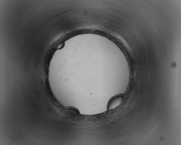 X0000102871064200809021442