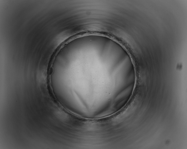 X0000102871065200809021442