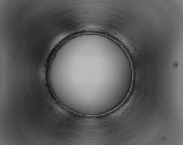 X0000102871066200809021442