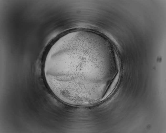 X0000102871067200809021442