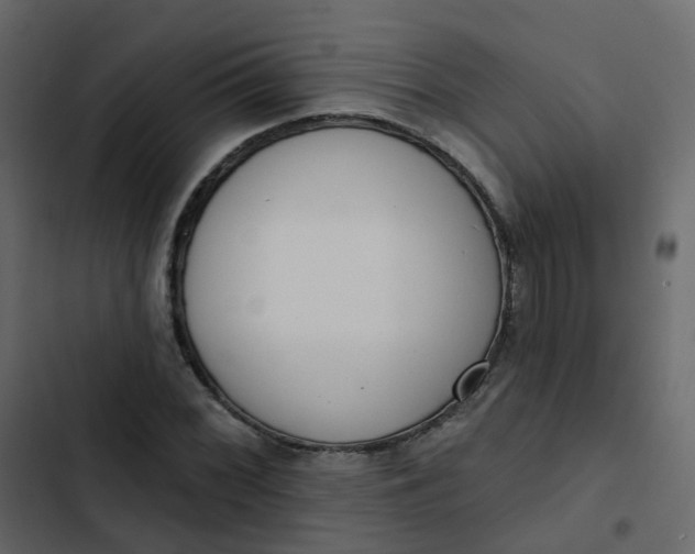 X0000102871068200809021442