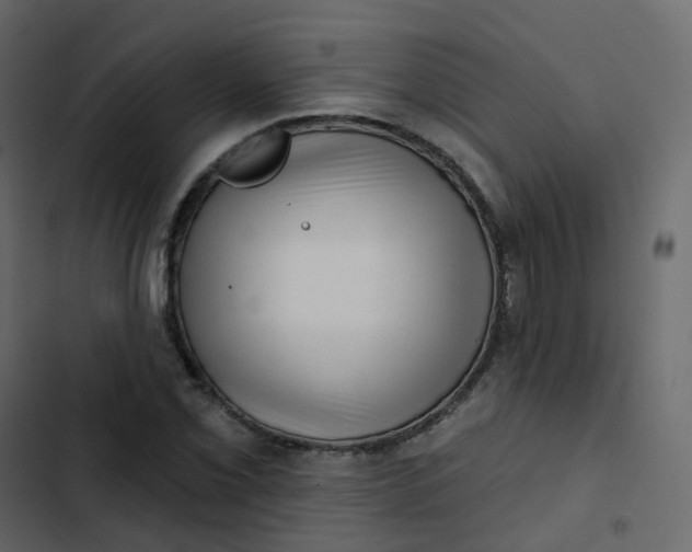 X0000102871069200809021442