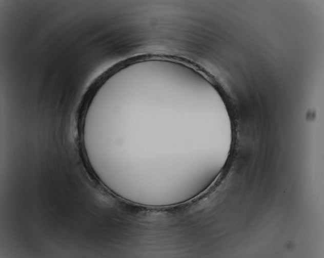 X0000102871070200809021442