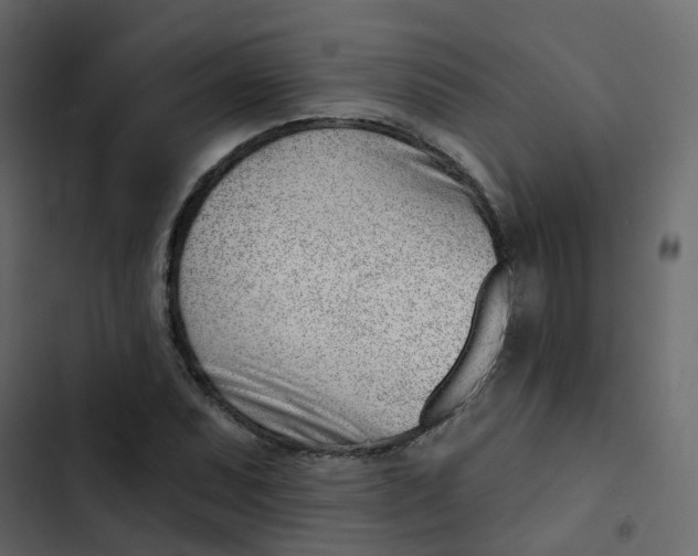 X0000102871071200809021442