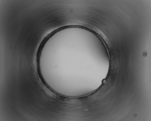 X0000102871072200809021442