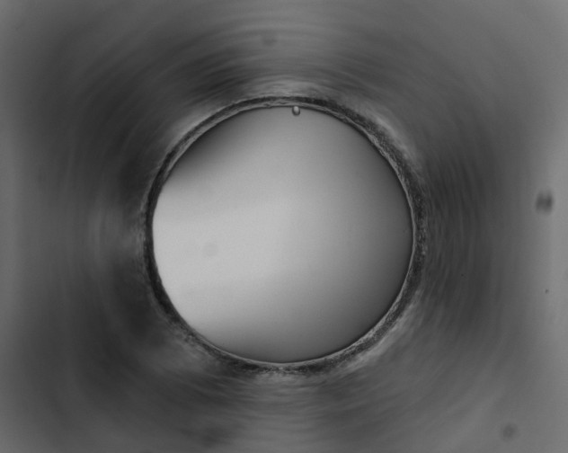 X0000102871073200809021442