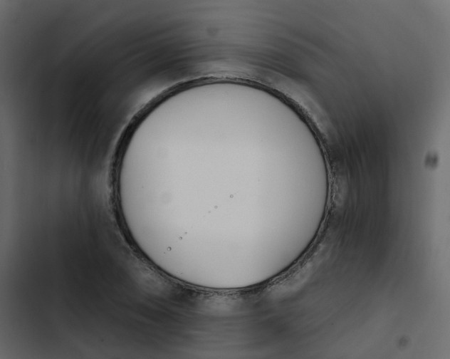 X0000102871074200809021442