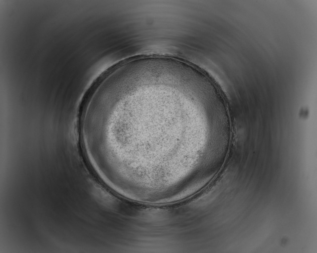 X0000102871075200809021442