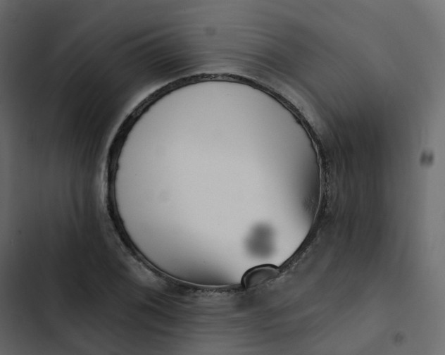 X0000102871076200809021442