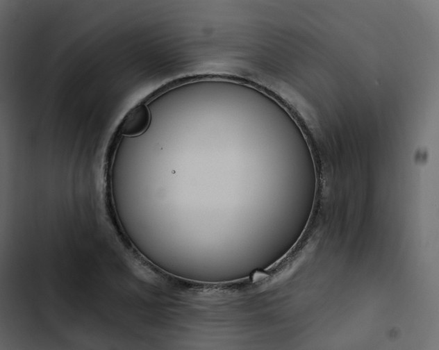 X0000102871077200809021442