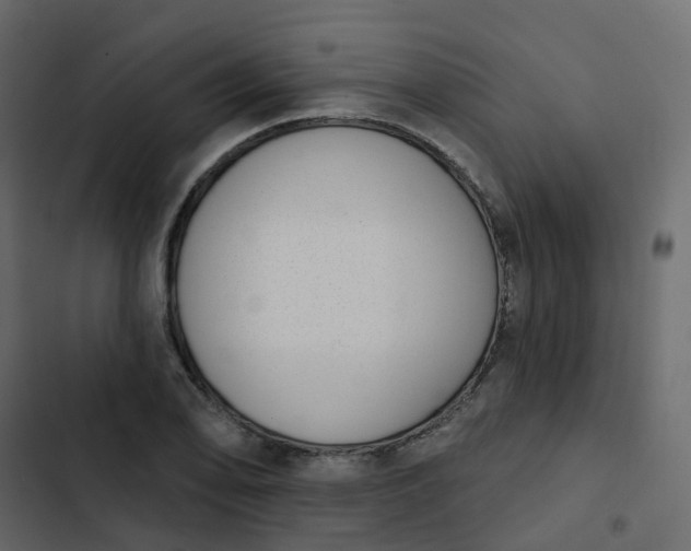 X0000102871078200809021442