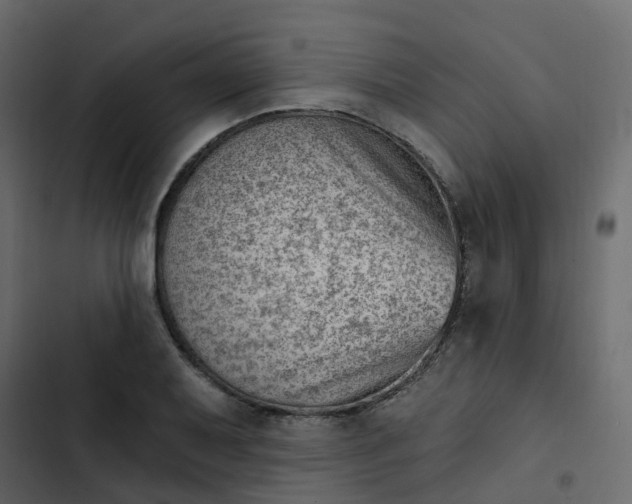 X0000102871079200809021442